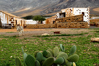 Fuerteventura_027